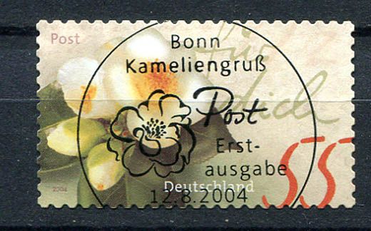 Picture / Bild